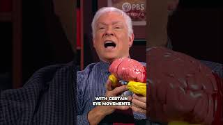 Emdr For Dissociative Amnesia A Treatment Approach