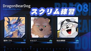 【APEX】カスタム練習３日目【Vtuber/龍神イブキ】