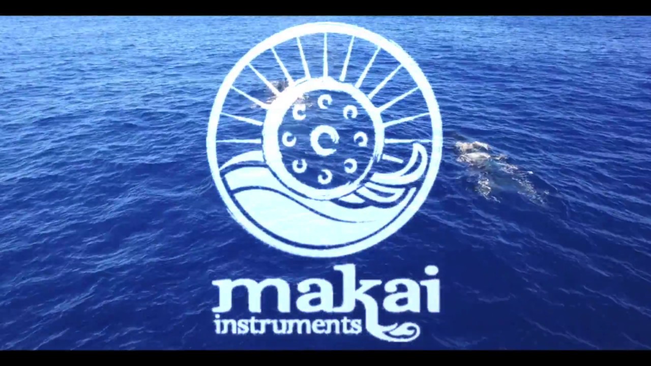 Makai Instruments ~ D Hijaz