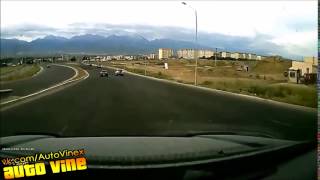 Auto Vine 209