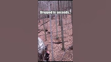 🤩PERFECT SHOT! Drops in Sight! Shotgun Deer Hunting #shorts #deerhunting