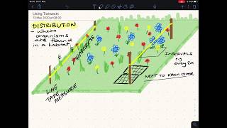 B7 - Ecology - Using transects