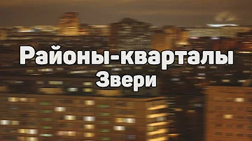 Звери - Районы кварталы (Lyrics)