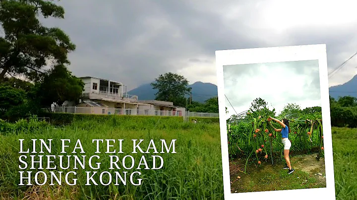 Exploring Hong Kong Kam Sheung Road Lin Fa tei Yue...