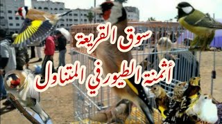 سوق القريعة ??أثمنة الطيور ليوم السبت 18رمضان الحسون والكناري وغيرها  الجزء 2 