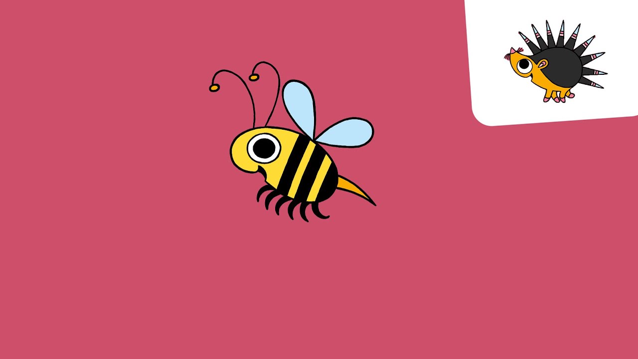 Biene Ich kenne ein Tier SWR YouTube