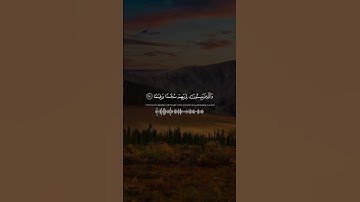 قرآن كريم - آيات بيّنات من سورة الفرقان - تلاوة عطرة لفضيلة الشيخ ادريس أبكر