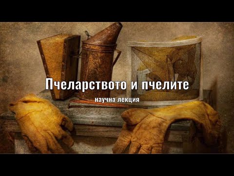 Пчеларство и пчели с Явор Кирилов