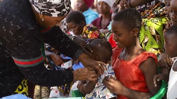 Highlights from the Saving Lives and Livelihoods initiative