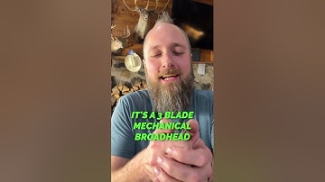 420 Grain Arrow vs Buffalo, What Happens!?