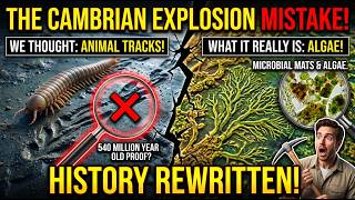 The Fossil Mistake That Rewrites the Cambrian Explosion #Paleontology, #Evolution, #ScienceDiscovery