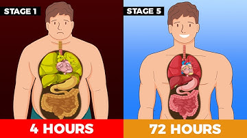 What happens to your body while Fasting? | The 5 stages of Fasting