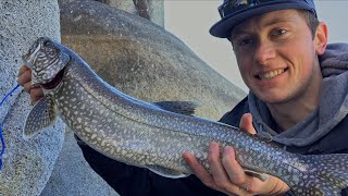 Mackinaw Fishing in Lake Tahoe – Catching Big Lake Trout from the Shore!