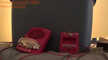 Simplex 4906-9151 TrueAlert Speaker/Strobe Test 2