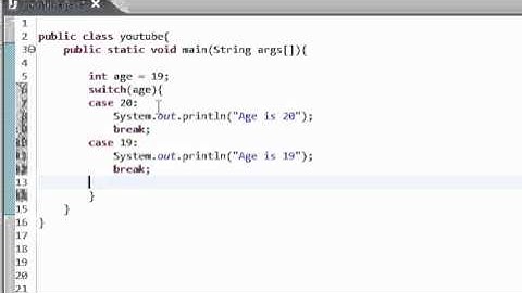 Java Tutorial 11: The Switch Statement