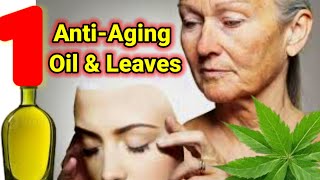 Neem Oil Uses for Age-Defying Results | Transform Your Skin with Nature's Anti-Aging Solution