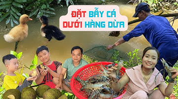 BÍ QUYẾT ĐẶT BẪY CÁ DƯỚI HÀNG DỪA - THU HOẠCH SIÊU BẤT NGỜ SAU 12 GIỜ | CUỘC SỐNG NÔNG THÔN