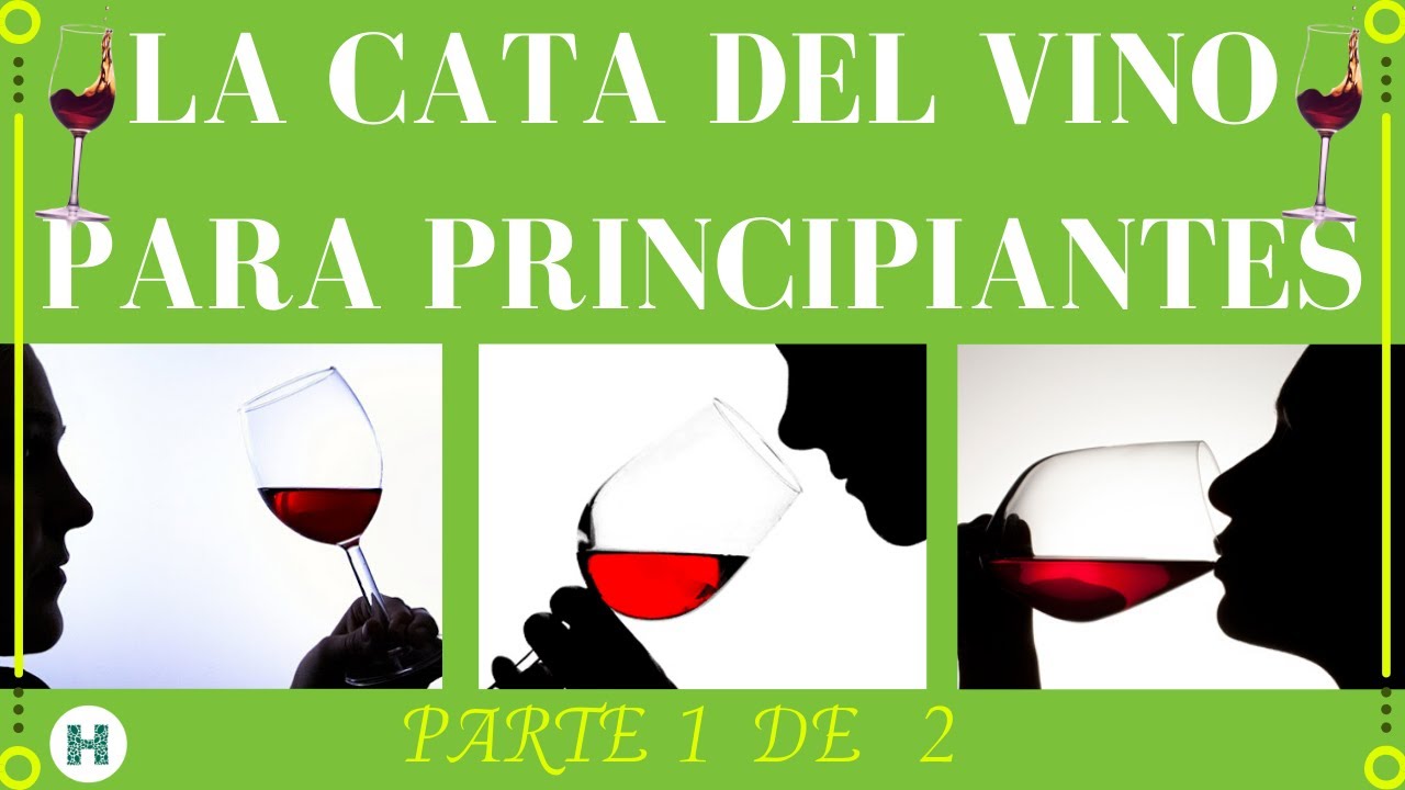 Inapropiado pánico En consecuencia 🍷CATA DE VINO PARA PRINCIPIANTES PARTE 1🥂[Curso de vinos🍷] - YouTube