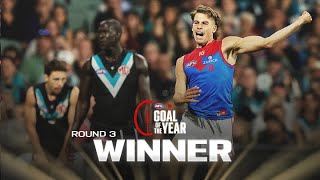 Windsor's career-first wins Goal of the Year nomination | Round 3, 2024 | AFL