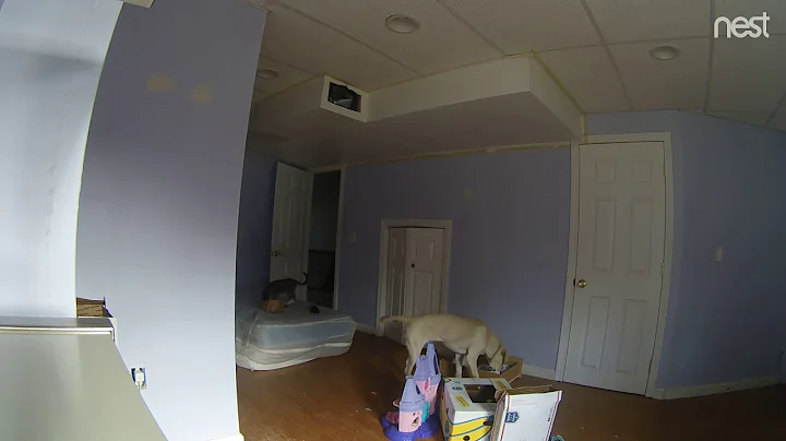 February 16 2019 @8:40am They're in closet to the ...