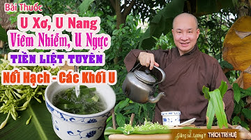 U Xơ Tử Cung, u nang, u ngực, Tiền Liệt Tuyến, viêm nhiễm, nổi hạch || Chùa Pháp Tạng