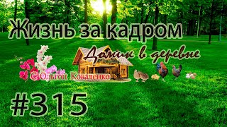 #315 ЖИЗНЬ ЗА КАДРОМ ! Что не день - то новое приключение