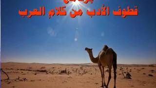 قطوف الادب من كلام العرب - حلقة عن - الملوك