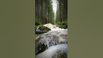 #عبدالرحمن_مسعد #quran #قرآن #اكسبلور #المصحف #تلاوات #سورة_آل_عمران #قران_كريم #quran_tilawat