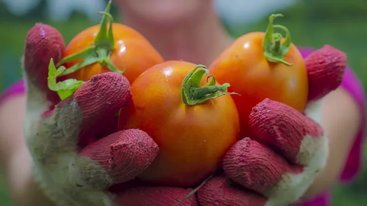 USDA-NRCS: Who We Are and What We Do