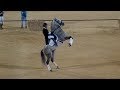 Gran Galà Equestre Città di Mussomeli - (14- 9- 2019)