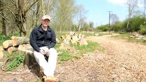 The Nature Reserve by Mike Downes for Movenote