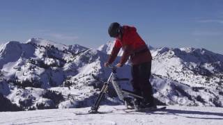 SnoGo Skitrike Skibike