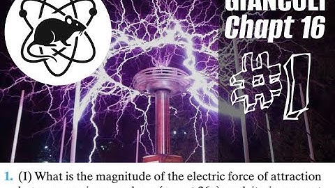 Problem #1 | Electromagnetism | Giancoli chapter 16