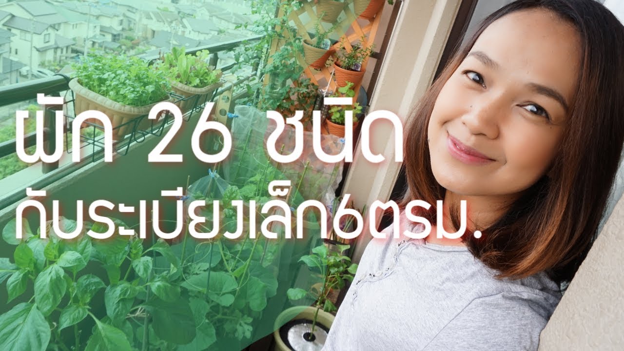 ปลูกผักสวนครัว พื้นที่น้อย  2022 New  ปลูกผักในกระถาง EP.35 พาชมผักหน้าร้อน 26 ชนิด ริมระเบียงเล็กๆแค่ 6ตรม.