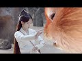 【Full Movie Version】 恶兽凶猛无比，遇见女孩却秒变乖宠，原来她的身世惊人  🥰 中国电视剧