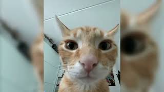 Sped Up Edit Audios Pt.33