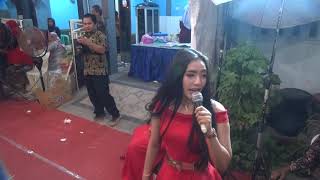 Pengantin digoyang biduan cantik