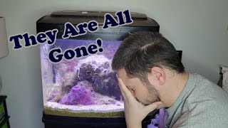 My Saltwater Tank CRASHED! - Now What???