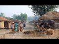 Nepali Village Lifestyle | Farmers Life In Nepal | Typical Lifestyle Of Village Community Nepal