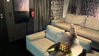 Teufel Ultima 40 20 Reihe Review Von Einem Amateur