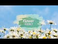 [가사 / 번역 / 요미가나]  前田敦子 - Flower / 마에다 아츠코 - Flower