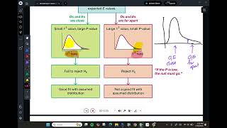mat 206 Section 11.1 Goodness of Fit Part 1
