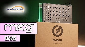 Moog Mavis - Semi-Modular