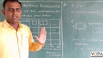 7th | Maths | Chapter 8 | Algebraic expression and operation on them | V6 | VSchool
