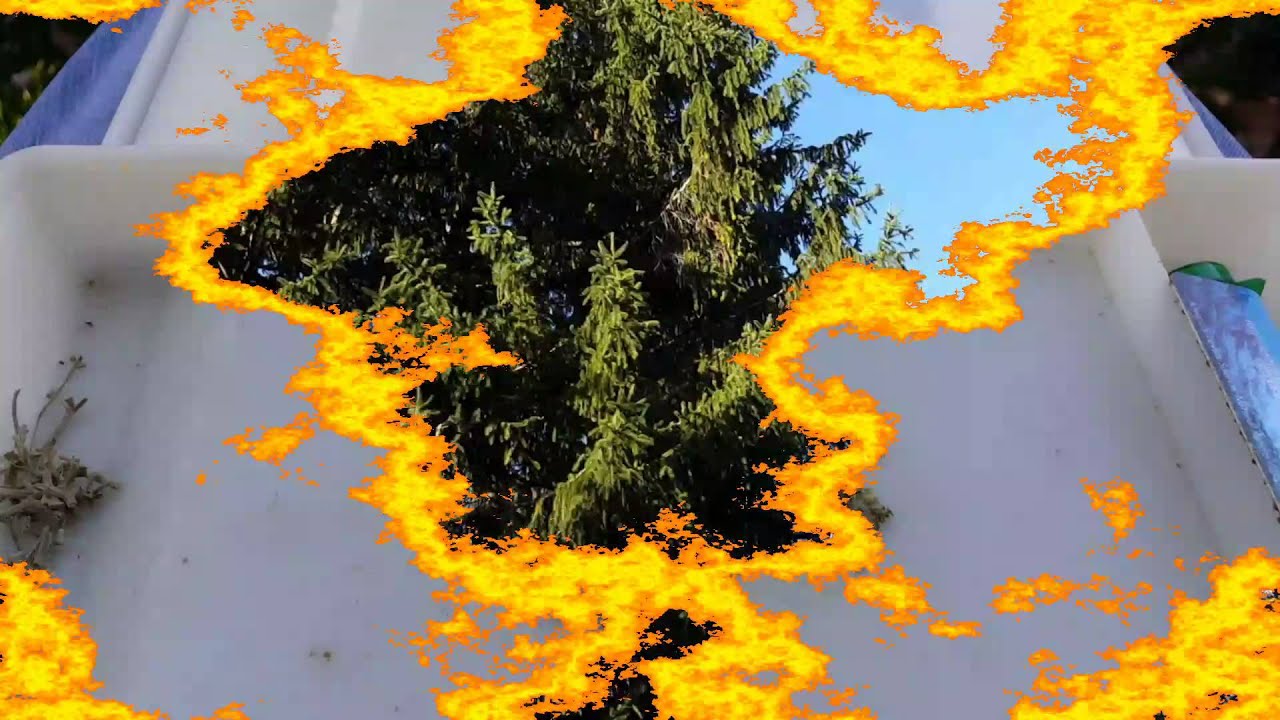 Morning dab and daytime vape session