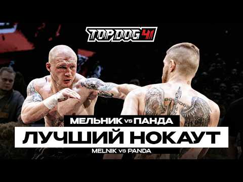 Melnik VS Panda | Best knockout | TOP DOG 41, Novosibirsk