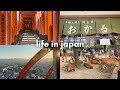 JAPAN VLOG: flying to tokyo, hakone, nara, fuji, kyoto