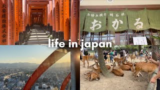 JAPAN VLOG: flying to tokyo, hakone, nara, fuji, kyoto