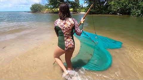 Kahana Bay Seine Net Lab