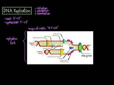 Video: Uyğunsuzluğun təmiri ilə nukleotid eksizyonunun təmiri testi arasında fərq nədir?